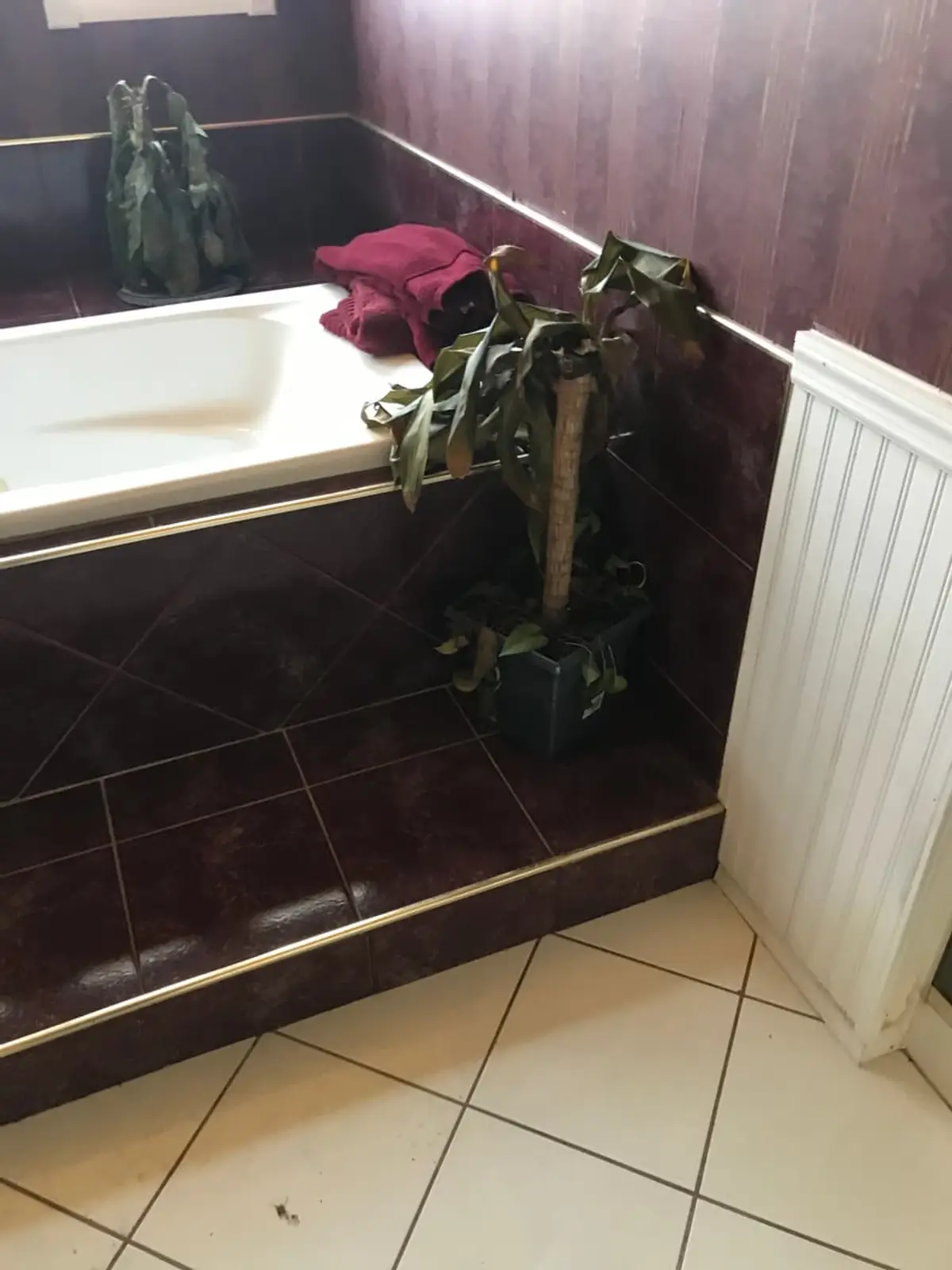 Selling estate property as an executor in Bay Shore: dated bathroom with burgundy tile around the tub