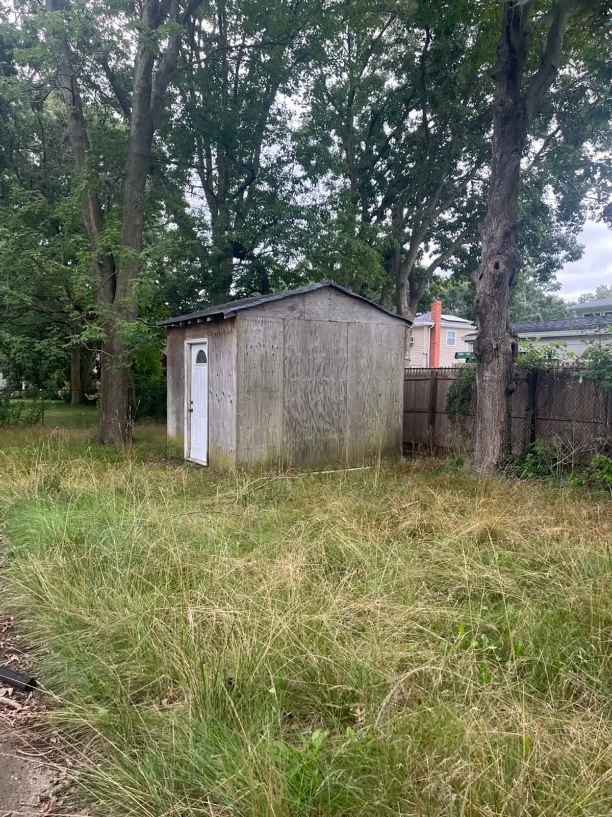 Wondering what your Bay Shore house is worth: weathered shed behind tall uncut grass